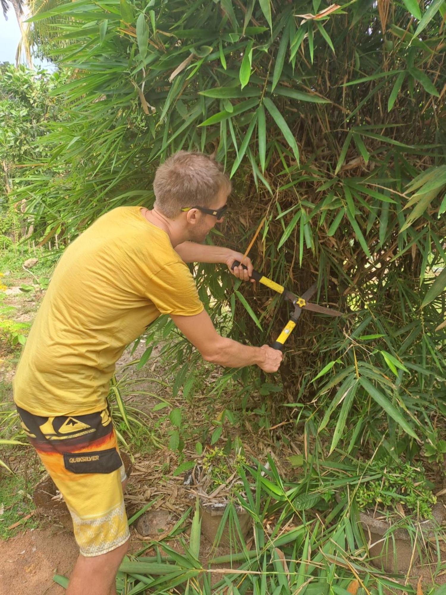 Marari Bethsaida Homestay Shertallai 部屋 写真