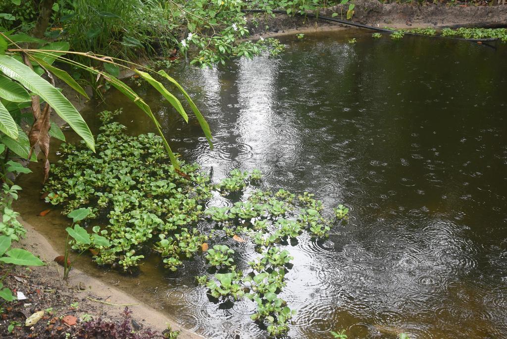 Marari Bethsaida Homestay Shertallai エクステリア 写真