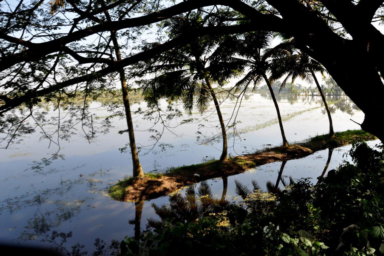 Marari Bethsaida Homestay Shertallai エクステリア 写真