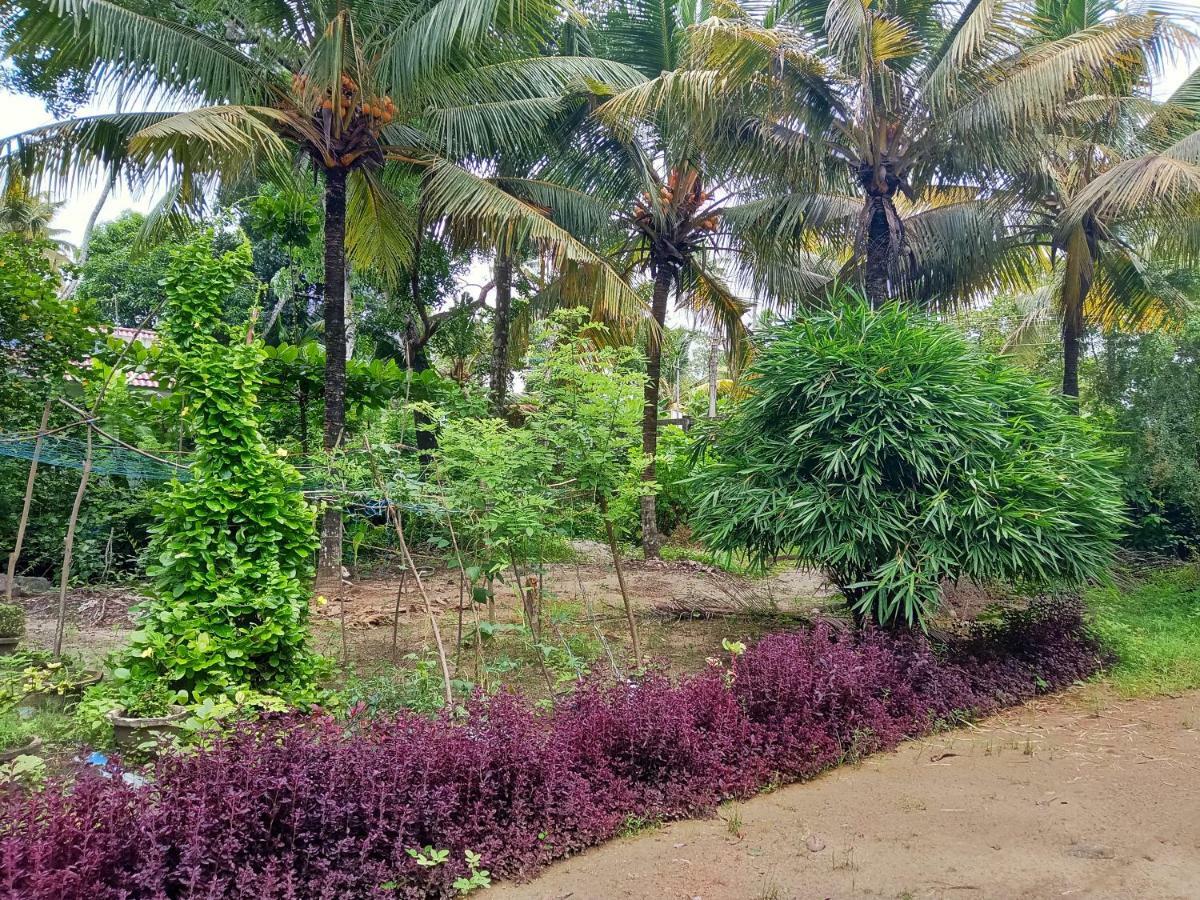 Marari Bethsaida Homestay Shertallai エクステリア 写真