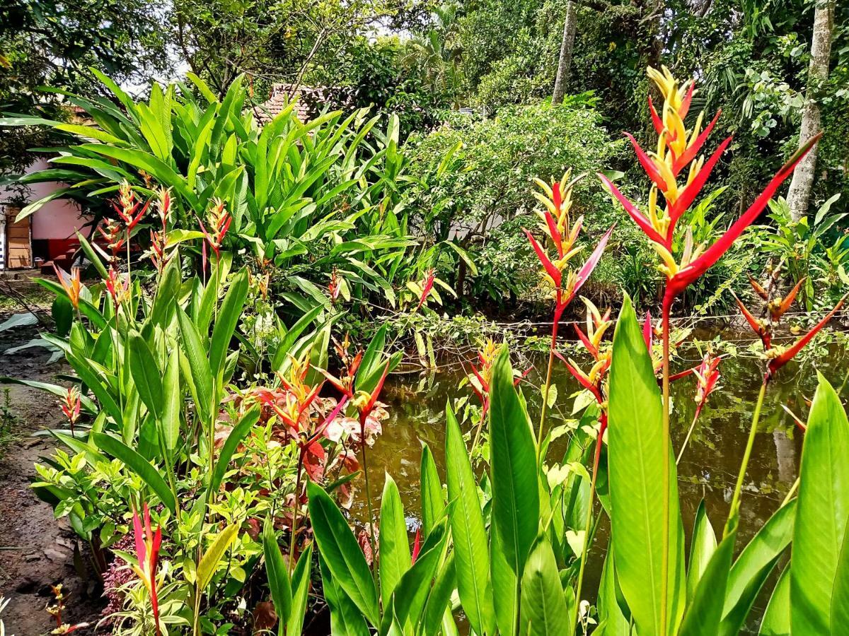 Marari Bethsaida Homestay Shertallai エクステリア 写真