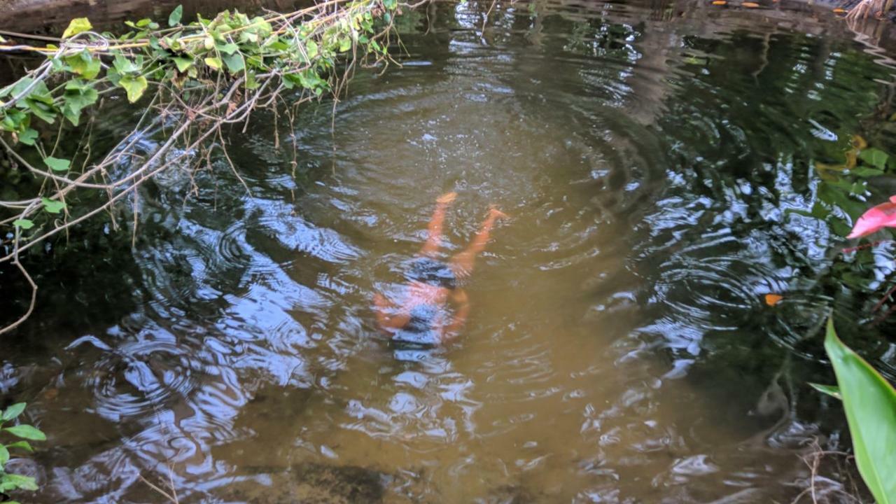 Marari Bethsaida Homestay Shertallai エクステリア 写真